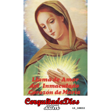 LLAMA DEL CORAZON INMACULADO DE MARIA